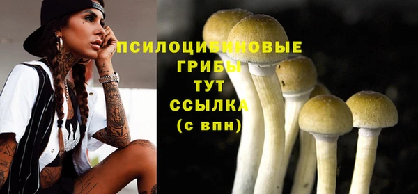 синтетический гашиш Елабуга