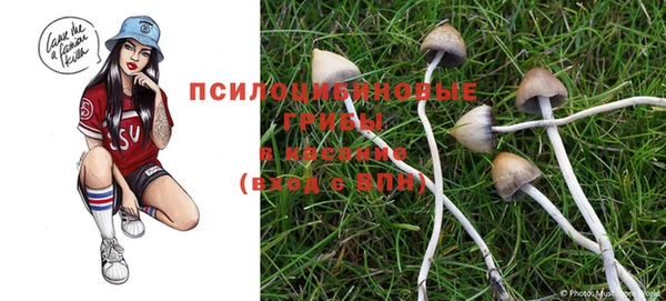 синтетический гашиш Елабуга